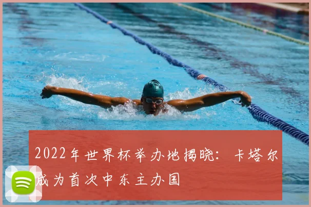 2022年世界杯举办地揭晓：卡塔尔成为首次中东主办国